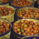 Illustration for article titled What is the chemical composition of the perfect tomato?